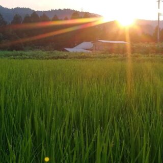 【新年あけましておめでとうございます】