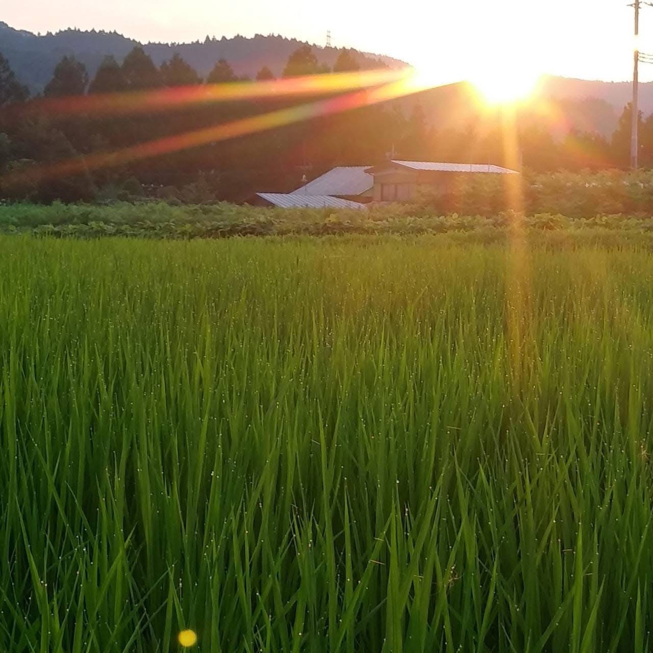 【新年あけましておめでとうございます】